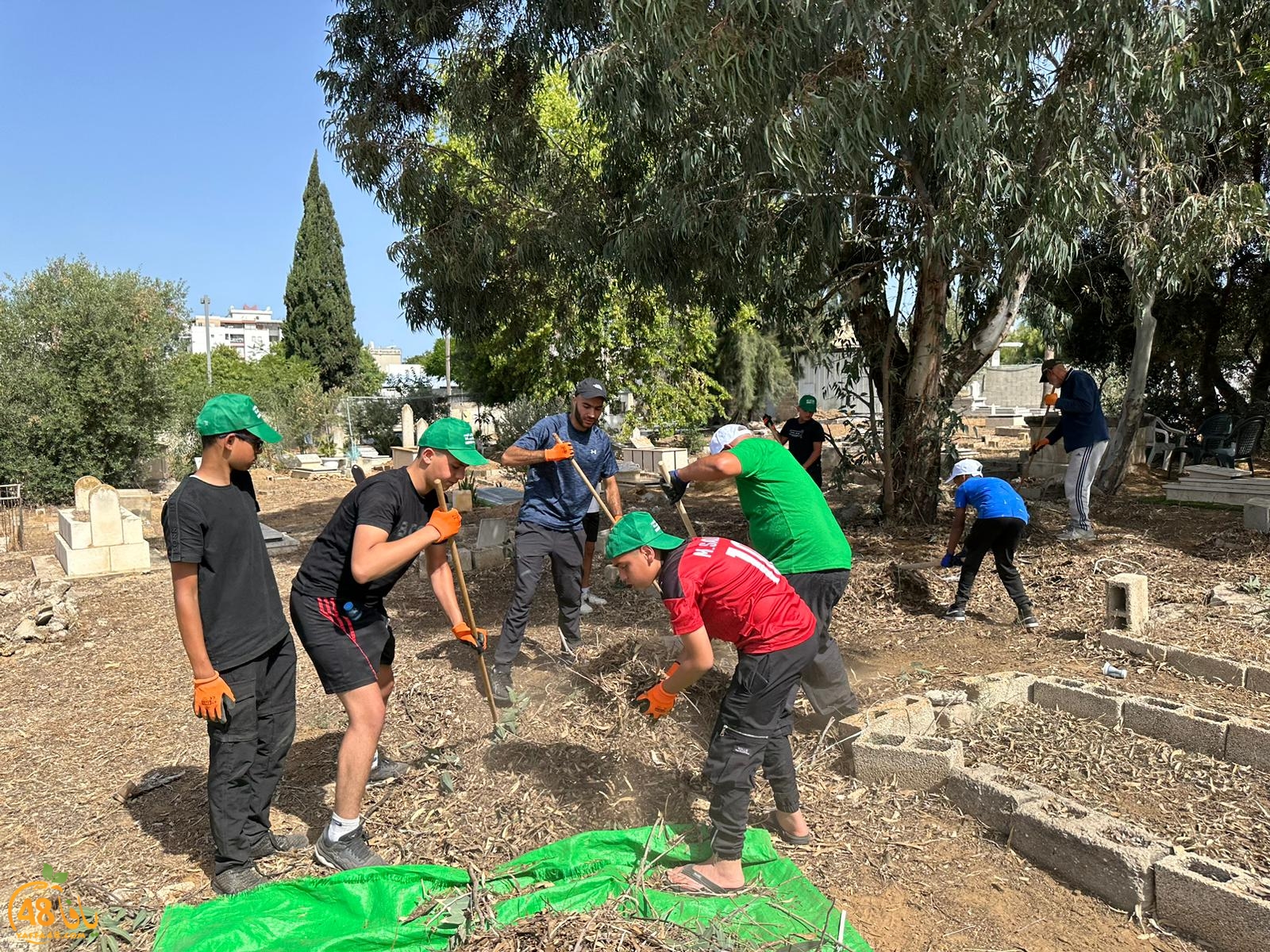 WhatsApp Image 2023-06-17 at 3.39.01 PM.jpeg